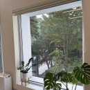 하나연치과의원 | 남편 이빨 대공사 임플란트 크라운 인레이 치과 치료 견적 치아보험 비교 후기 1탄