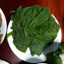 경산농약백화점 이미지