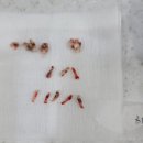 고은덴탈 이미지