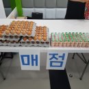 용인대한울태권도 이미지