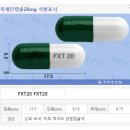플루슬리 이미지