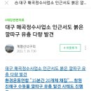 대구 매곡정수사업소 인근에서도 붉은깔따구 유충 다량 발견!!! 창원만 나오는거 이제 아닐듯 합니다 수문열면된다고 기사있네요 ㅠㅠㅠㅠ 이미지