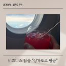 싱가포르 항공 비지니스 탑승 기내식 북더쿡 예약 후기