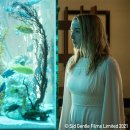 최신영화 킬링 로맨스 이미지