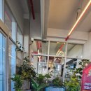 썬카페 | 강릉 옥계 금진해변이보이는 헌화로길에 초대형카페 썬옥베이커리카페 내돈내산솔직후기