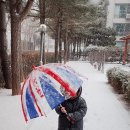 주마켓 이미지