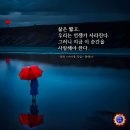 부드러움.화향백리.자식에게. 진커밍스 이미지