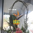 재송1동 주민복지문화센터 | 《스트렐리치아로 자존감을 피우다 – 기흥동주민센터 플라워테라피 수업 후기》