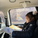 대신펠리체 | 강원도 고성 소노 펠리체 델피노 골드 스위트룸 파노라마뷰 후기, 울산바위뷰 미니골프 추천