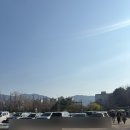 충혼탑 | 창원 충혼탑 목련꽃 만개 후기(26.4.21방문)