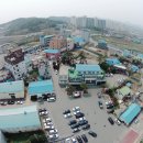 삼호읍사무소 이미지
