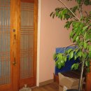 은은통신 이미지