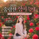 중랑천변2(상계교) | 2026 중랑천 장미축제 총정리, 일정·위치·주차 꿀팁｜서울 5월 데이트 명소 추천