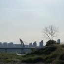 금강수변공원5 이미지