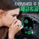 아톰모터스 | 차량 에어컨 곰팡이 제거 아톰 볼트 블로워 사용 후기