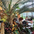 새벽풍경소리 수목원펜션 | 설맞이 1박2일 가평 가족 여행 (上) - 소근리막국수, 라온숨, 아침고요수목원, 실로암펜션