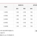 뉴질랜드에서 010 한국 핸드폰 그대로 사용하는 방법 이미지