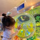 인셀덤월드 - 포항시 남구 | 잠실 롯데월드 아쿠아리움 후기 아이가 너무 좋아해요