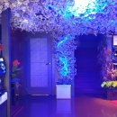 아이비모텔 이미지