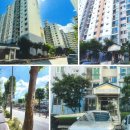 유성대로(유성-31) 이미지