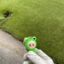 한미르대덕밸리 컨트리클럽 이미지