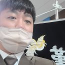 기독교후불상조회 | 천안의료원 장례식장 짧은 3일장으로 장례 진행 (부산에서 돌아가심)