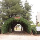 도고목장 이미지