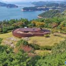 산양일주도로가로수 이미지