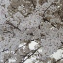 현북초등학교 이미지