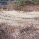 서후초등학교대흥분교장 이미지