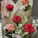 종로-연건-종로-연-332 | 2024년 1분기의 문화 생활 - (2)