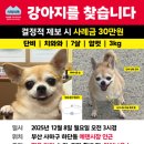 단비 네이버블로그