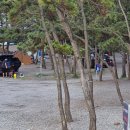 송림캠핑장 이미지