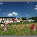 신평중학교 이미지