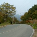 순천 나무숲 이미지