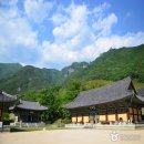 표충사 이미지