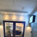 도그비숑 이미지