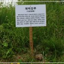화개산성 티스토리