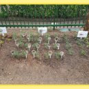 해나어린이집 이미지