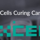 피앤이바이오 이미지