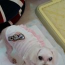 어느봄날펜션 이미지