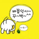 벌곡초등학교 이미지