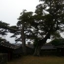 대정향교 이미지