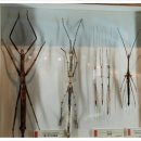 무주곤충박물관 이미지