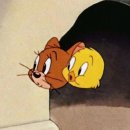 배실(상)공원 웨딩 | [웨딩스냅] 스냅장인, 포에브아워러브 포아럽 (보정본 수령후기) : 셀프결혼준비한다면 필독!