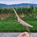 가산공원 그라운드골프장 이미지