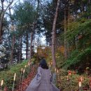 조산공원길 이미지