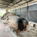 이화농장 | [김천] 이화만리 캠핑장 2박3일 방문 후기