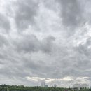 붓펜캘리그라피 이미지