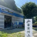 대성모터스 이미지